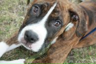 Кирилл Митяев фотография #25 (источник - https://vk.com/id6828811)