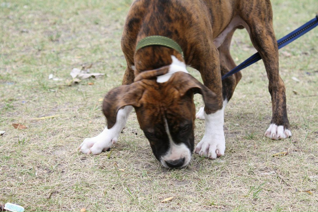 Кирилл Митяев фотография #17