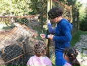 Клавдія Балог фотография #42 (источник - https://vk.com/id103459355)