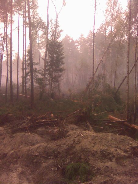 Иван Волков фото №47