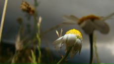 Фотография Зуйкиной Ольги