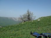 Юлія Родічева фотография #35 (источник - https://vk.com/id8162625)