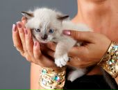 Фотография Ивановой Анастасии