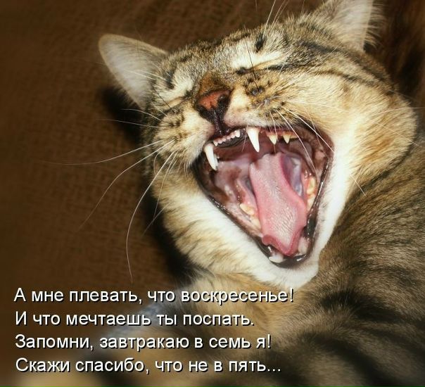 Артём Беляев фото №7