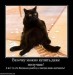  фотография #13