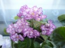 Фотография Ишкаевой Гульсины