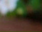 Ірина Бондар фотография #25 (источник - https://vk.com/id16532606)