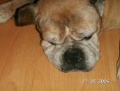 Фотография Афонина Дмитрия