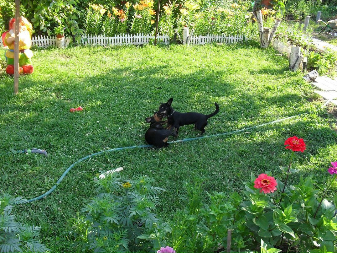 Александр Лысов фотография #23