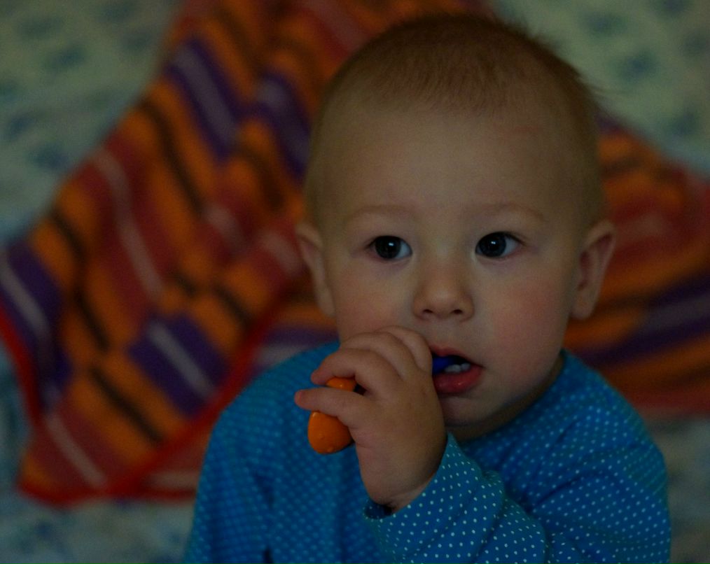 Дмитрий Алексеев фотография #17