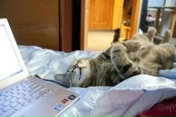 Марина Романова фотография #21 (источник - https://vk.com/id1534808)