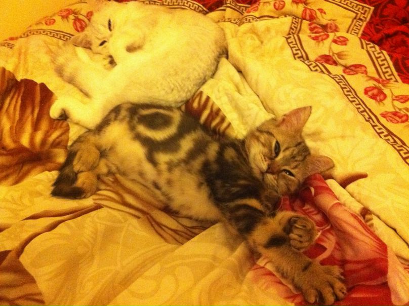 Мари Эн фото №10