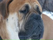 Фотография Мельниковой Елены