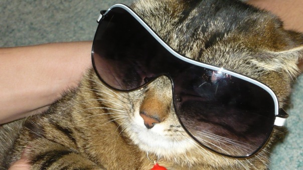 Лё}{@))) №1 фото №1