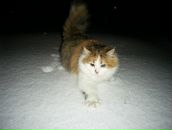 Фотография Князевой Надежды