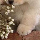 Василь Дмитрів фотография #35 (источник - https://vk.com/id98013424)