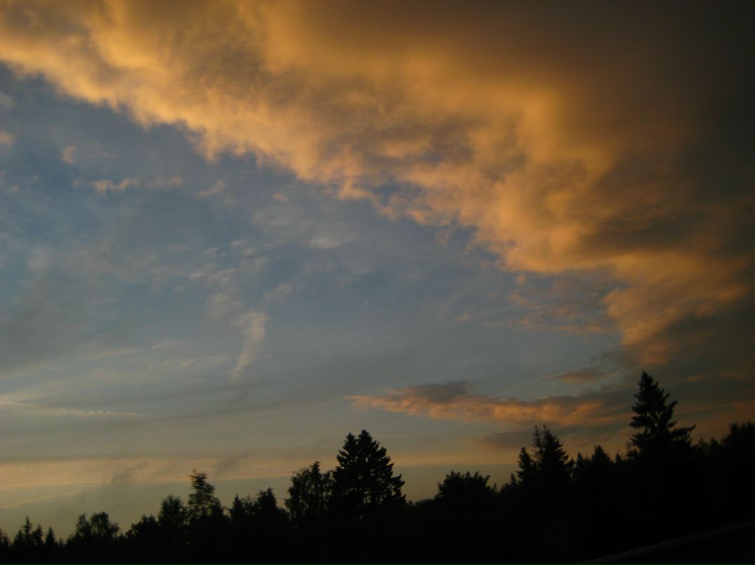 Дмитрий Линьков фотография #17