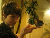 Фотография  