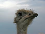 Фотография Худякова Егора