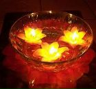 Гобіка Пуга фотография #30 (источник - https://vk.com/id126906293)