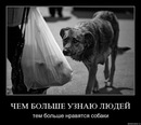 Olga Olla фотография #25 (источник - https://vk.com/id138036530)