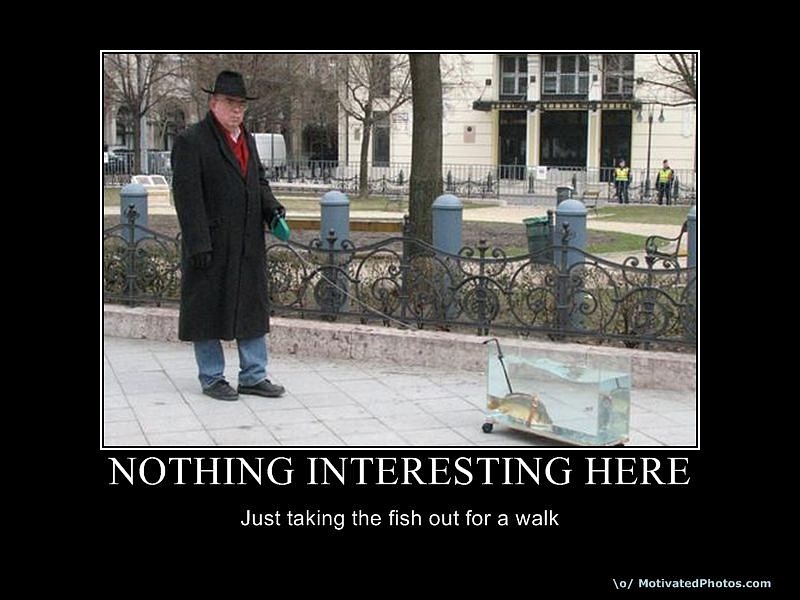 Olga Olla фотография #12