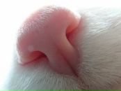 Фотография Зайцевой Юлии