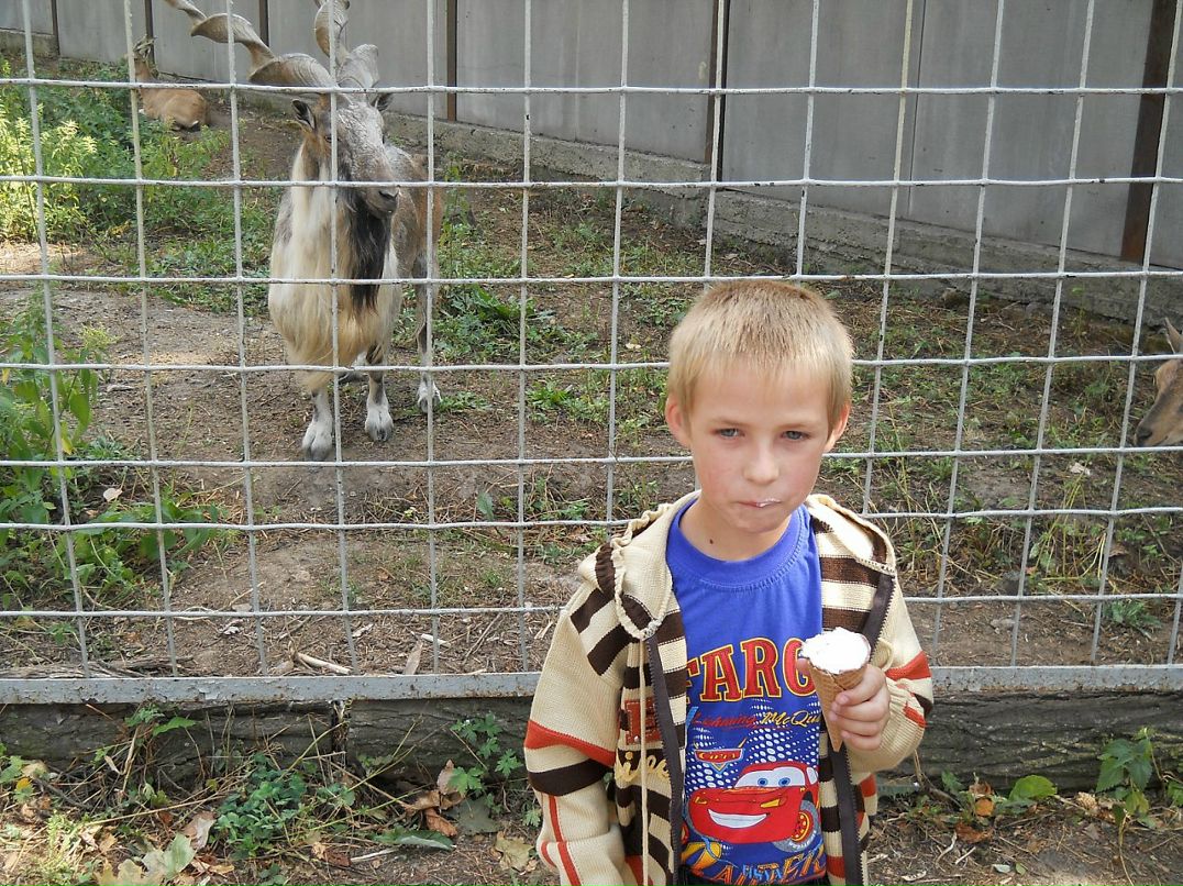 Дмитрий Шевченко фотография #31