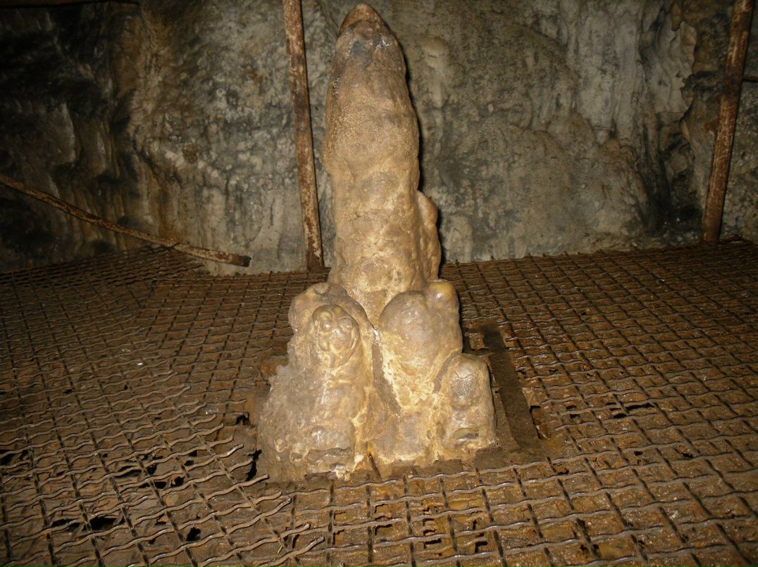 Александр Медведев фотография #39