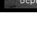 Натакент!!!_)))))))))))))) Ха!!!!!!!!!))))))))))) фотография #8 (источник - https://vk.com/id148146842)