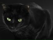 Фотография Катаева Мария