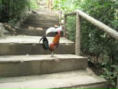 Клевый Парень фотография #38 (источник - https://vk.com/id391001)