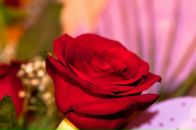 Фотография Домрачевой Людмилы