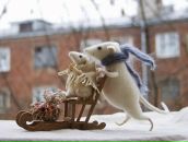 Фотография Братенковой Елены