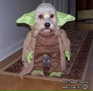 Бодя Бабінець фотография #4 (источник - https://vk.com/id146882189)