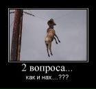 Илья Гусев фотография #25 (источник - https://vk.com/id432368)