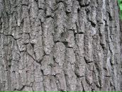 Фотография Логинова Олега