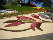 Ольга Мацьків фотография #12 (источник - https://vk.com/id8334654)