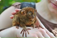 Данил Смирнов фотография #45 (источник - https://vk.com/id532575)