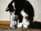 Антон Поштаренко фотография #22 (источник - https://vk.com/id928604)