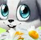 Марина Нікітчук фотография #33 (источник - https://vk.com/id145836178)