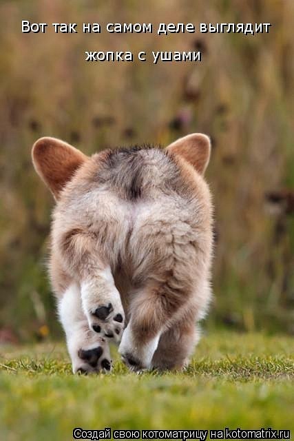 Ирина Левченко фотография #36