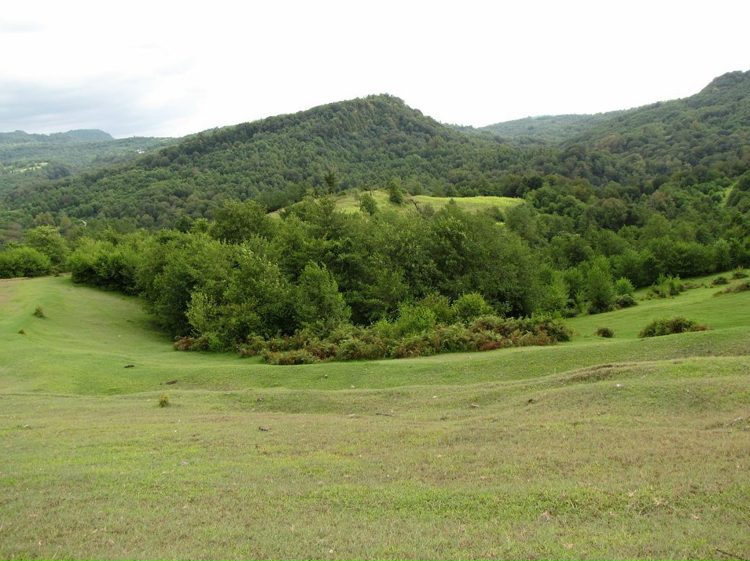 Александр Евсютин фотография #42