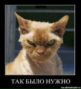 Константин Рябов фотография #47 (источник - https://vk.com/id57504268)