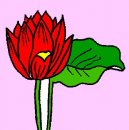 Марія Пребулович фотография #43 (источник - https://vk.com/id57725747)