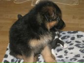 Анастасія Гольба фотография #31 (источник - https://vk.com/id64360893)