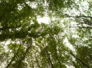 Танюфка Йолтухівська фотография #4 (источник - https://vk.com/id78222279)