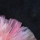 Софія Мартинів фотография #7 (источник - https://vk.com/id138085912)