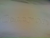 Фотография Вента Евгения