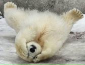 Фотография Цаплина Сергея